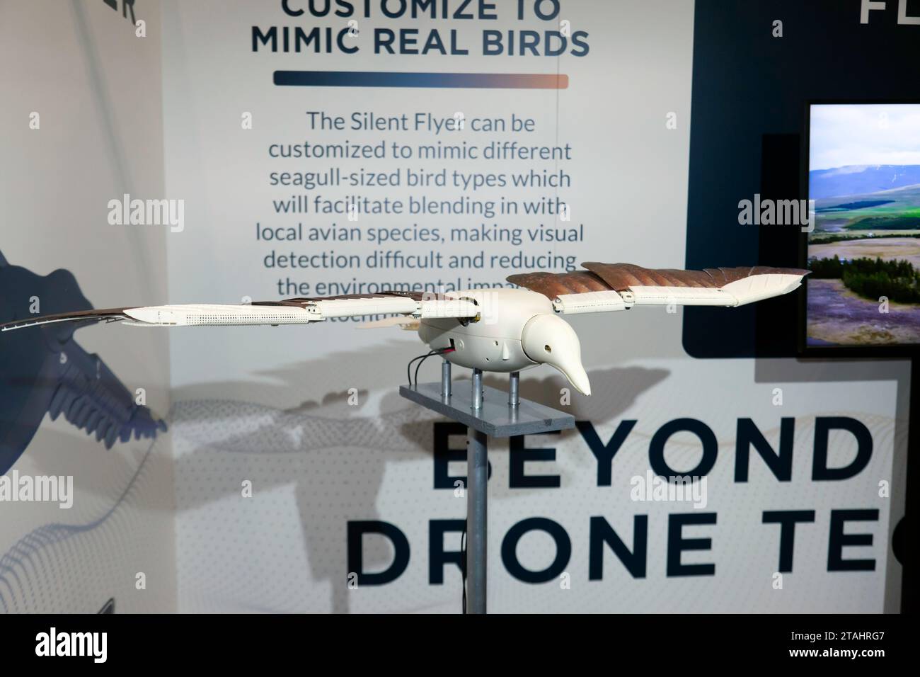 Blick auf einen Silent Flyer, eine flügelnde Drohne, die wie ein Vogel aussieht und fliegt. Auf der DroneX 2023 Stockfoto