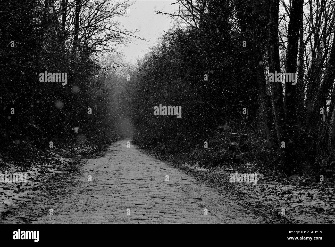 Schnee fällt auf die Plantation Road Accrington leichter Schnee, gerade genug, um das Sahnehäubchen auf den Kuchen zu setzen, zeigen die Kopfsteinpflaster alter Zeiten. Stockfoto