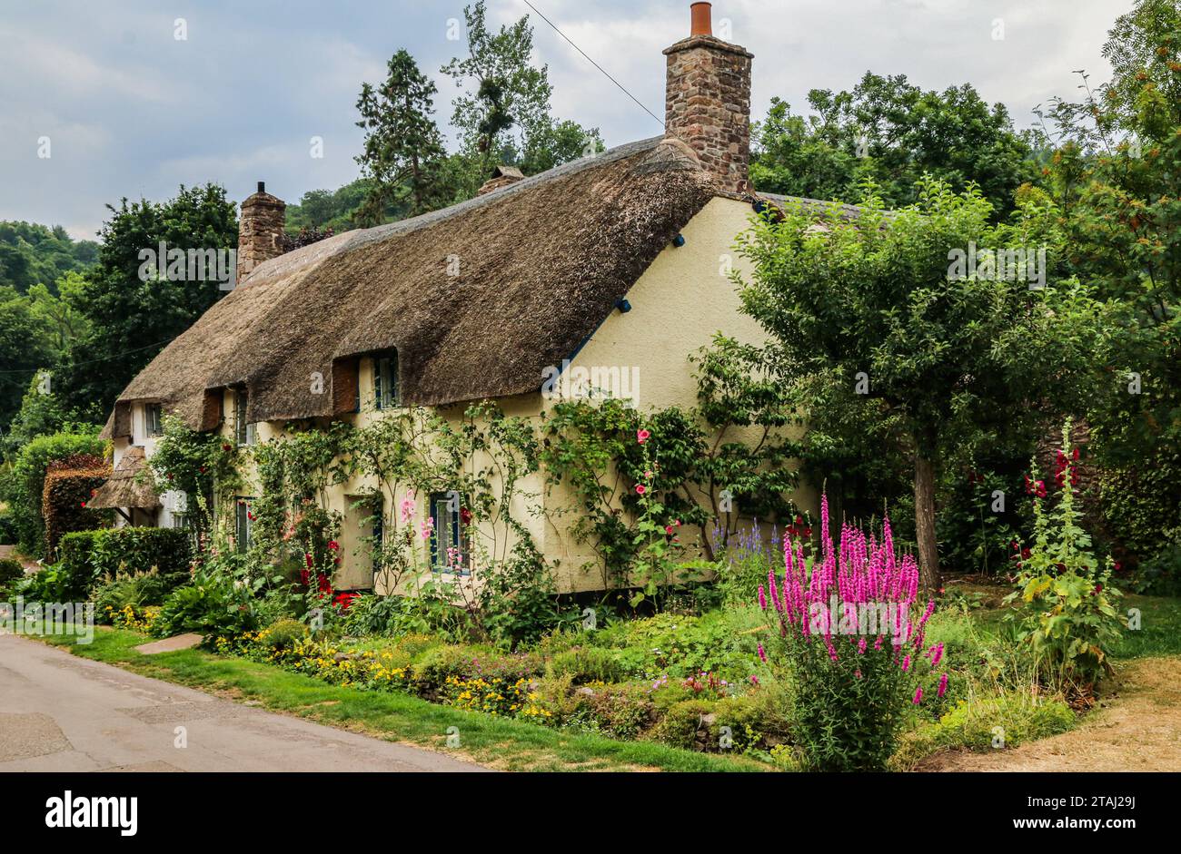Strohgedeckte Hütte und Garten in Dunster, Somerset, England Stockfoto