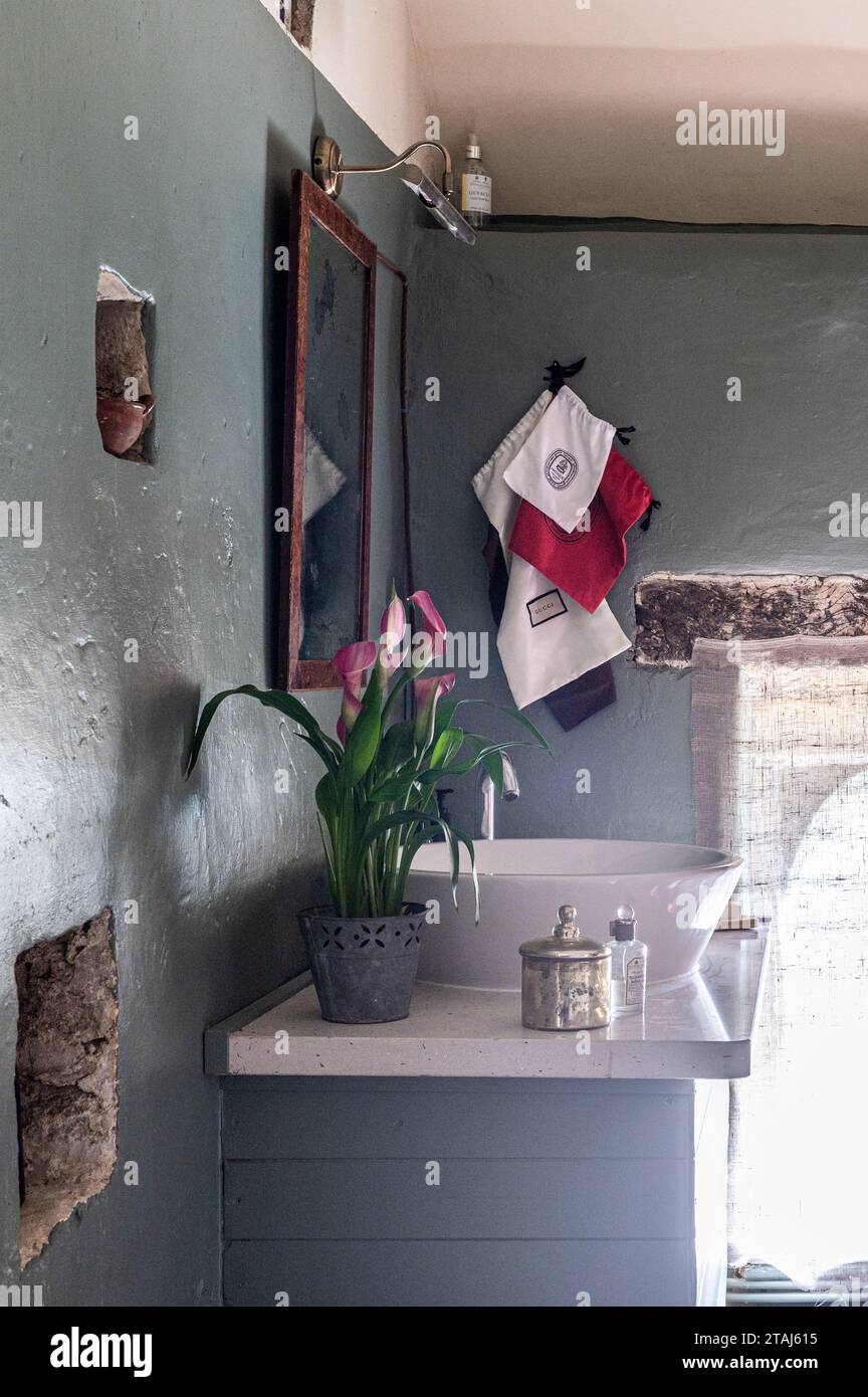 Calla Lilie auf Waschstand in Georgian Stall Conversion, Tetbury, Gloucestershire, Großbritannien. Stockfoto