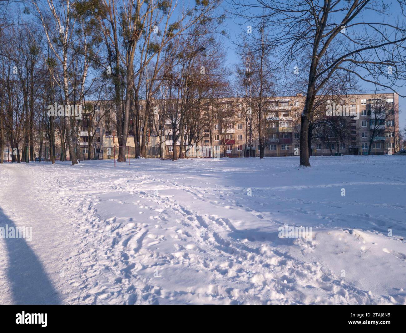 Landschaftsaufnahme der Straße am Wintertag Stockfoto