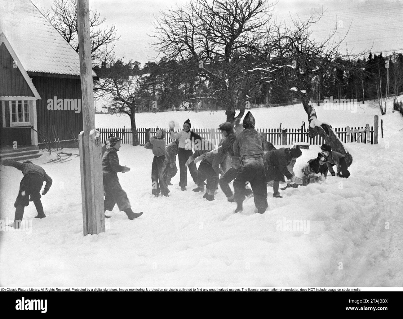 Eine Schulklasse hat eine Pause und wirft sich vor der ländlichen Dorfschule auf der Insel Ornö im südlichen Stockholmer Archipel Schneebälle aufeinander. Schweden Februar 1940. Kristoffersson Ref. 61-4 Stockfoto