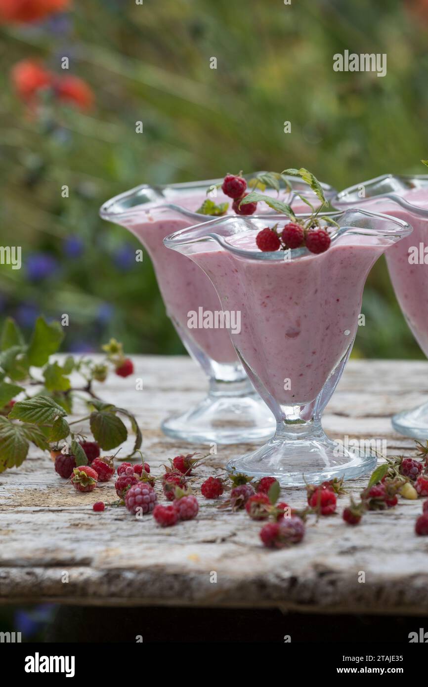 Himbeer-Softeis, Eis, Himbeereis, Soft-Eis, Sofeis, Eis selbermachen aus Naturjoghurt, Quark, Früchten, Wildfrüchten, Banane, Vanillezucker. Schritt 4 Stockfoto