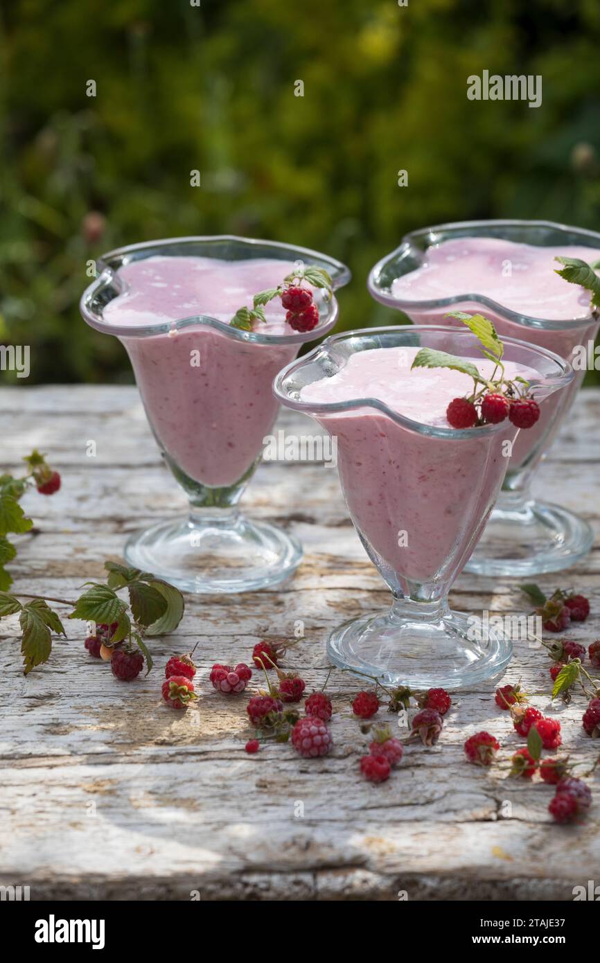 Himbeer-Softeis, Eis, Himbeereis, Soft-Eis, Sofeis, Eis selbermachen aus Naturjoghurt, Quark, Früchten, Wildfrüchten, Banane, Vanillezucker. Schritt 4 Stockfoto