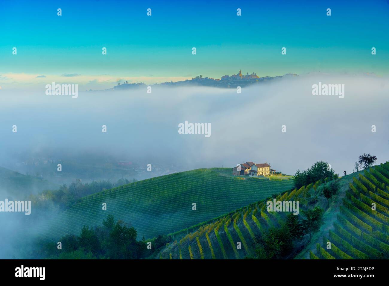 Panoramablick auf die Weinberge Serralunga d'Alba und die umliegende Landschaft Stockfoto