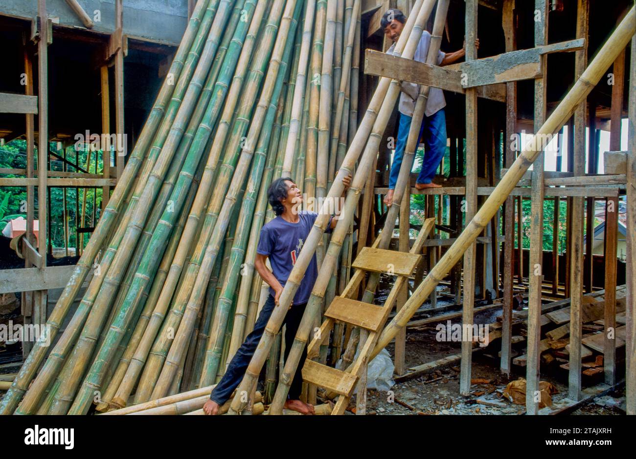 Bambus baumaterial -Fotos und -Bildmaterial in hoher Auflsung  Alamy