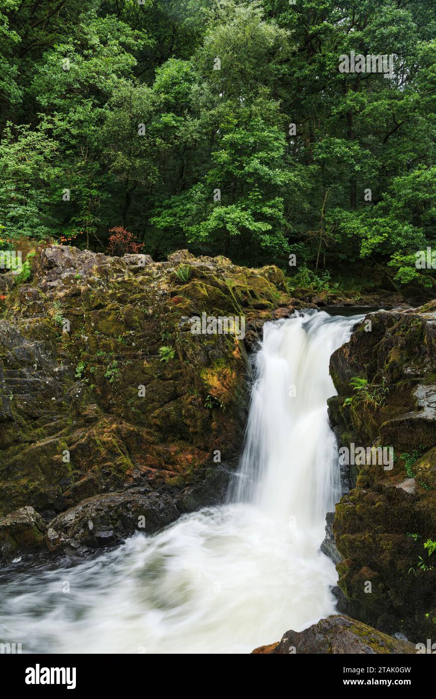 Skelwith Force am Fluss Brathay bei Skelwith Bridge, Lake District, Cumbria, England Stockfoto