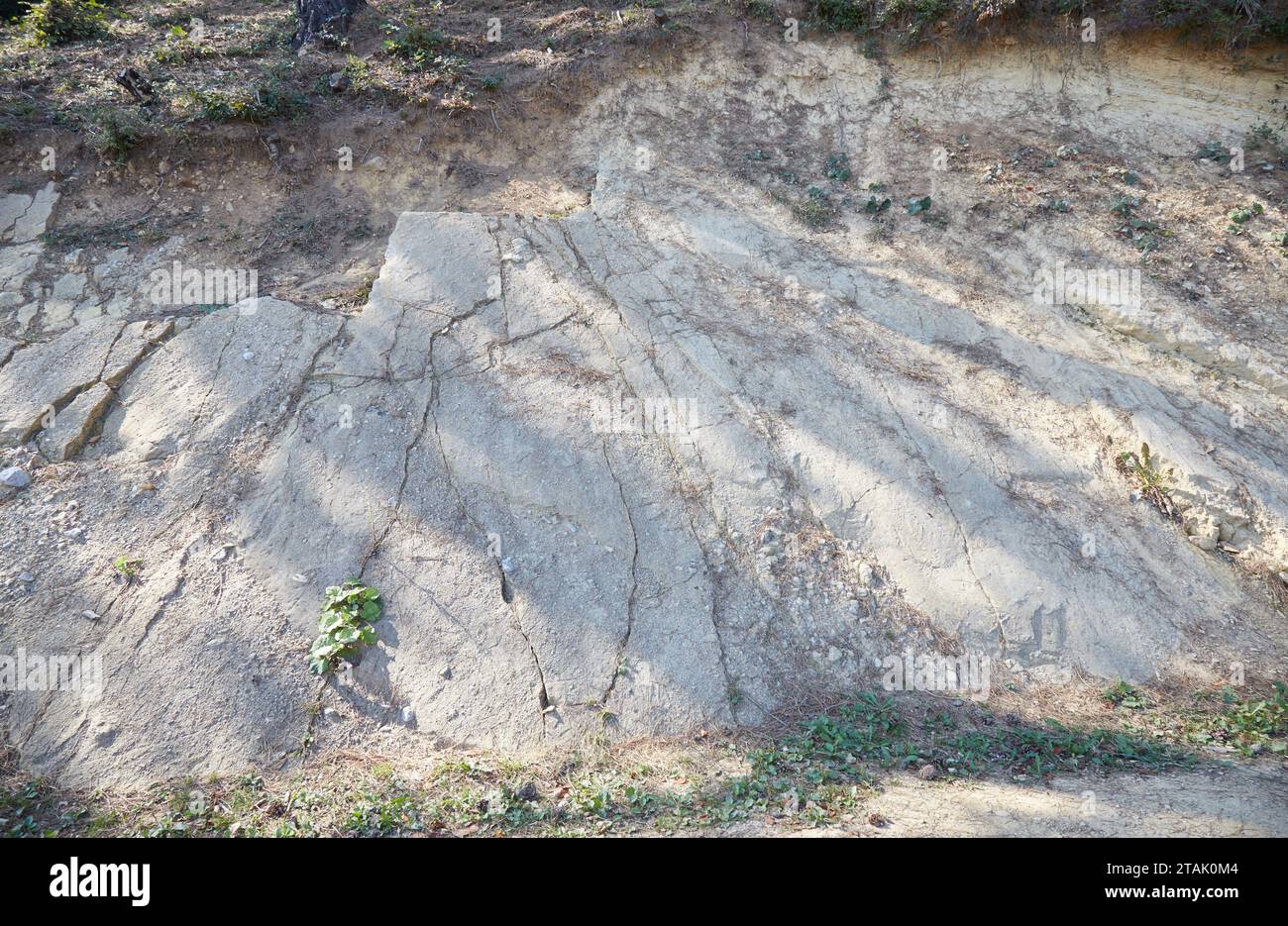 Die bosnische Pyramide in Visoko, was einige eine antike Pyramide nennen und was andere einen Hügel nennen Stockfoto