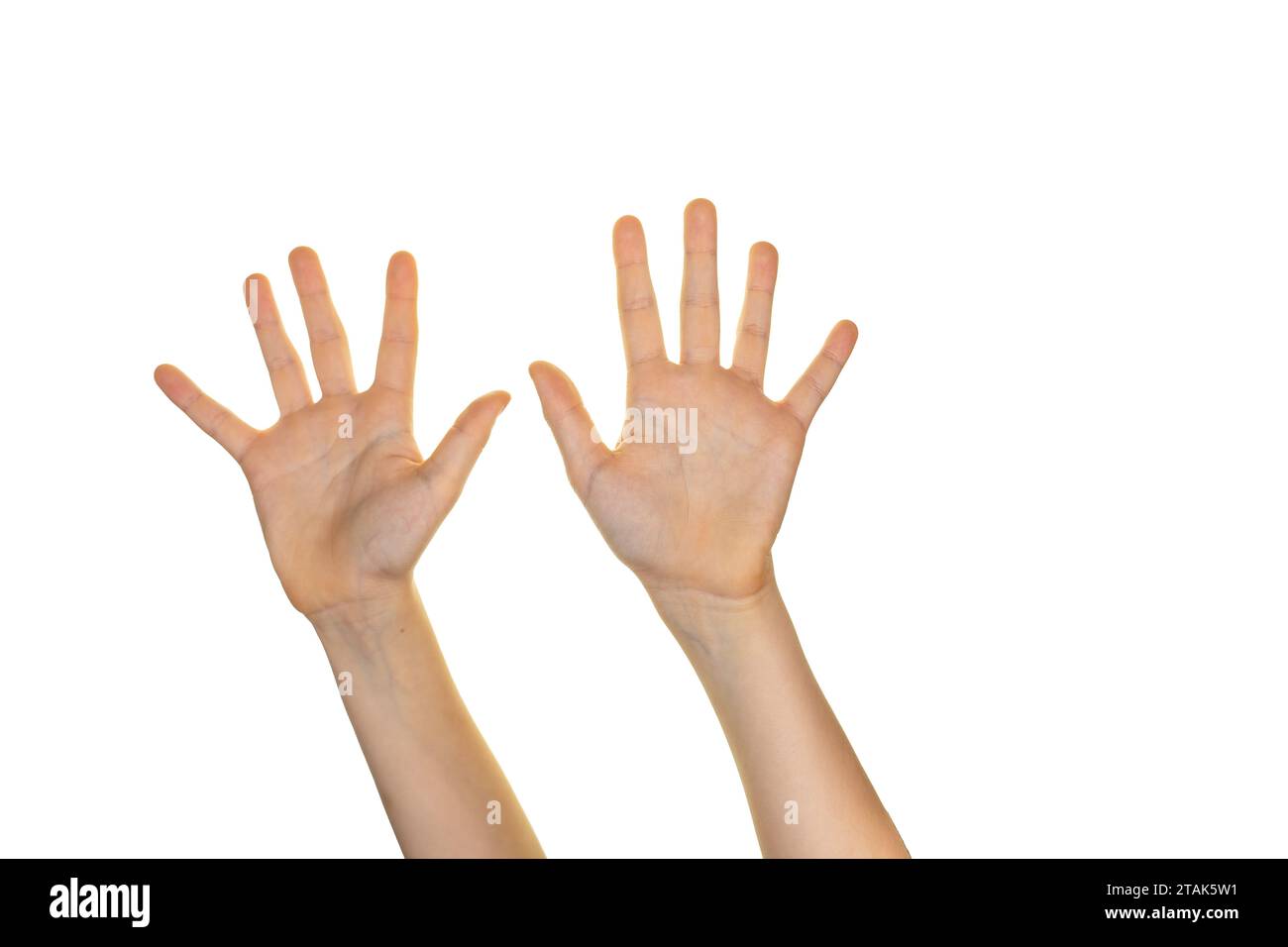 Zwei offene Hände mit zehn Fingern, Zahlen, Hände hoch, weißer Hintergrund Stockfoto