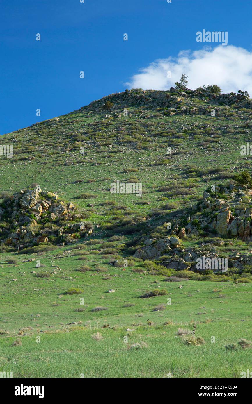 Kaninchen-Berg, Rabbit Mountain Open Space, Boulder County, Colorado Stockfoto