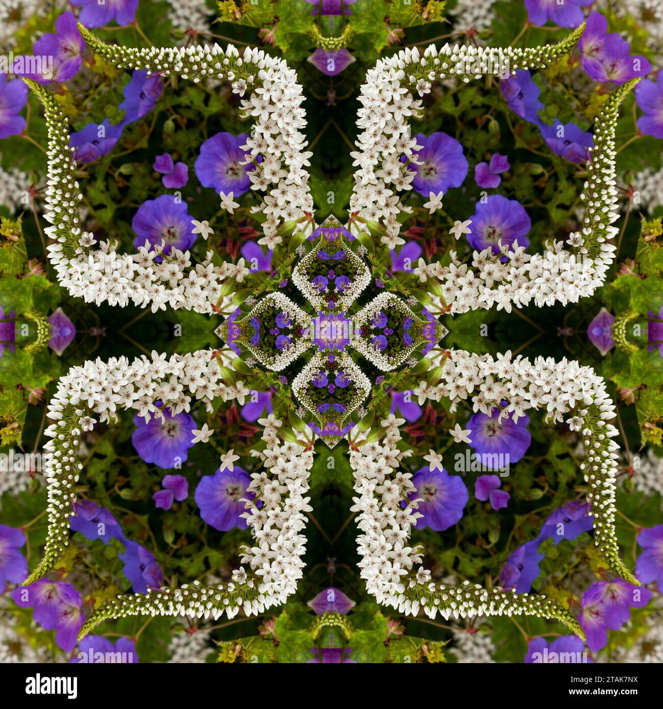 Kaleidoskop von Mischblumen Stockfoto