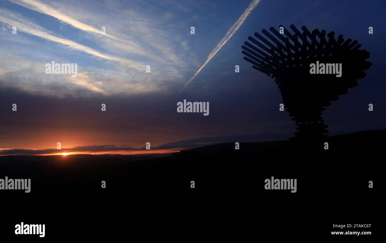 Singender, ringender Baum, der bei Sonnenaufgang am Horizont in Farbe gefangen wird, mit Dampfpfaden über dem Himmel. Stockfoto