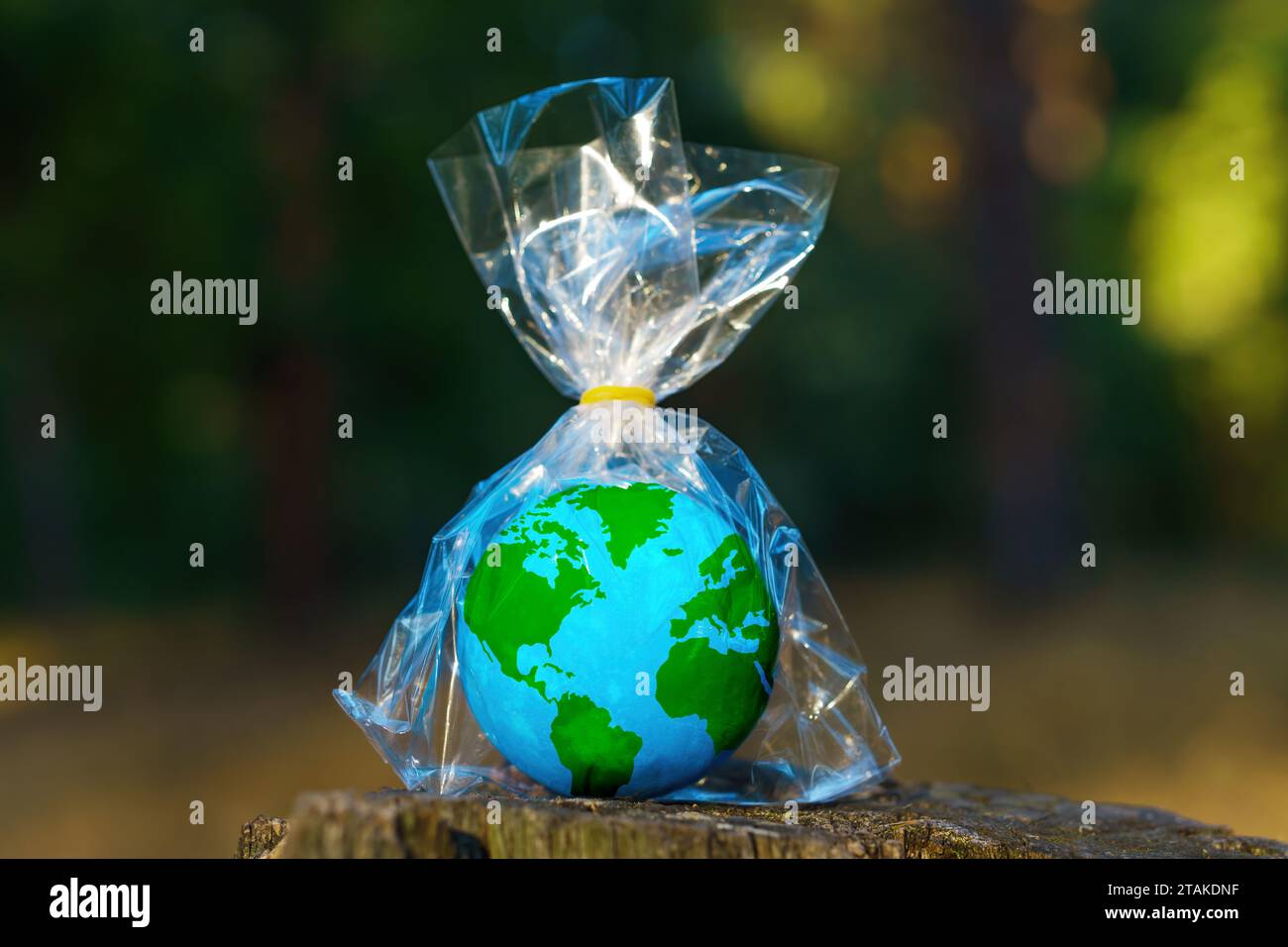 Kleines Kugelmodell in transparenter Kunststoffverpackung sitzt auf einem Waldstumpf. Plastische Verschmutzung und umweltbewusstseinsbedingte Verwölbung Stockfoto