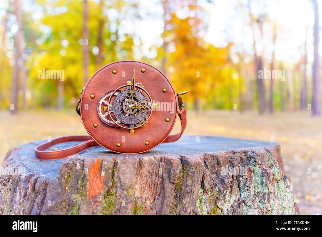 Kreisförmige Tasche mit Zifferblatt und Zahnrädern, die auf einem bezaubernden Baumstamm im Wald platziert wird und die Raffinesse des Zubehörs mit dem Ser in Einklang bringt Stockfoto