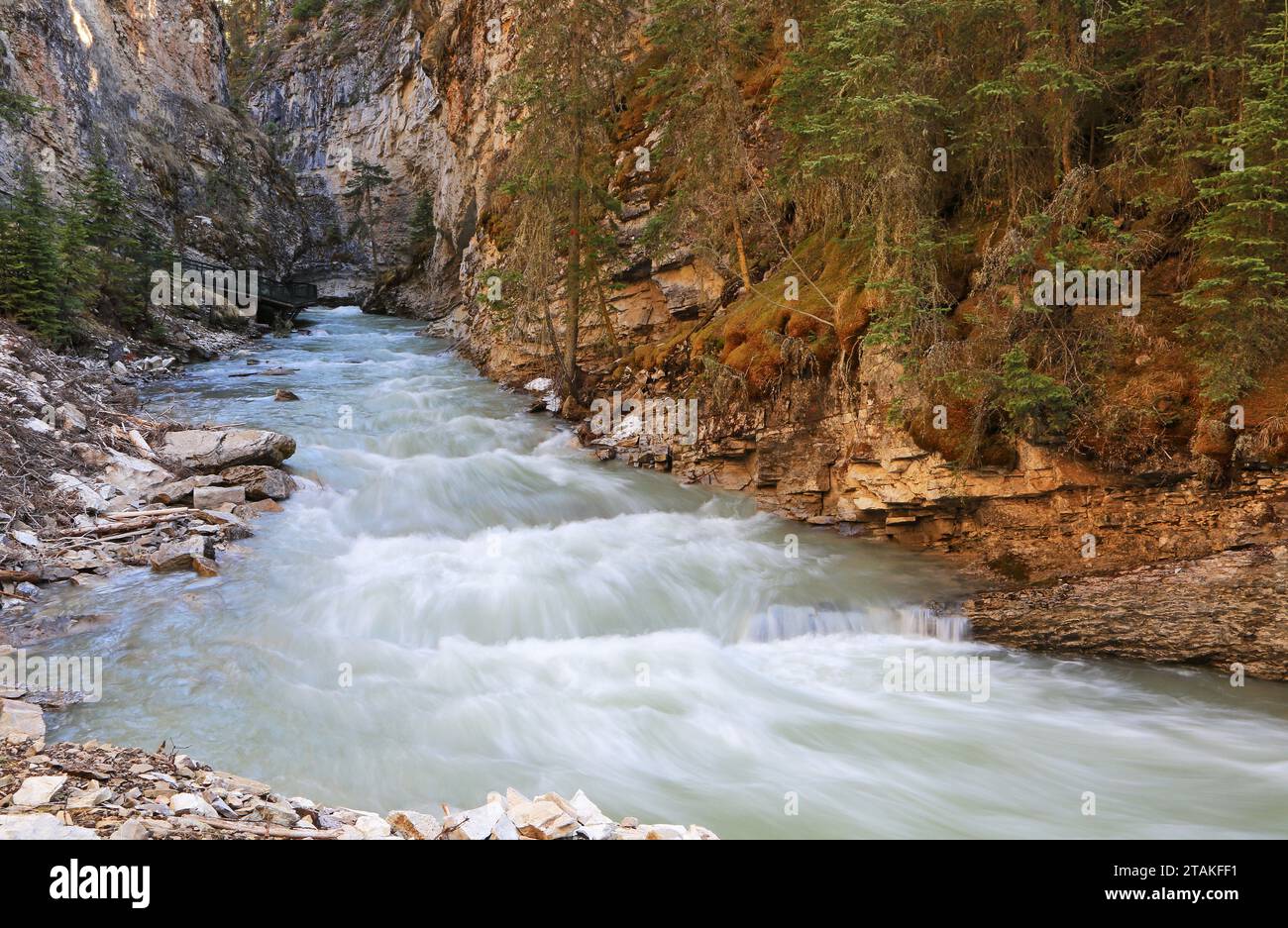 Creek fließt im Johnston Canyon – Banff National Park, Kanada Stockfoto