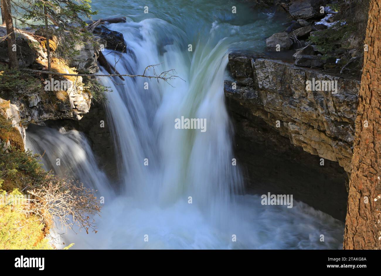 Wasserfälle - Johnston Canyon - Banff National Park, Kanada Stockfoto