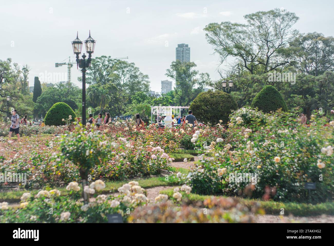 Blick aus dem Inneren des Rosedal Parks in der Mitte von Buenos Aires, Argentinien Stockfoto