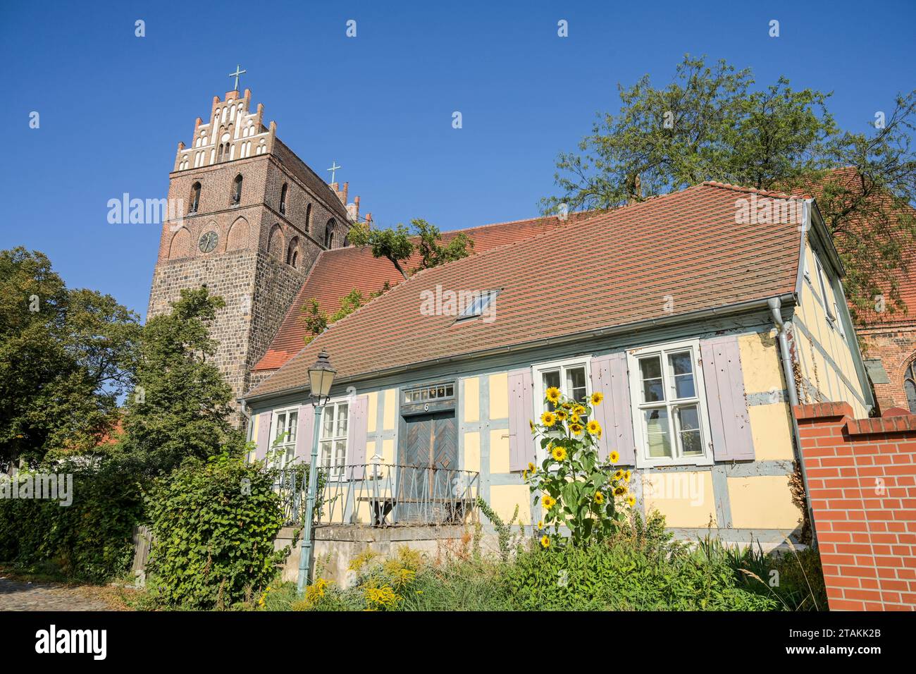 St.-Marien-Kirche, Kirchplatz, Angermünde, Brandenburg, Deutschland Stockfoto