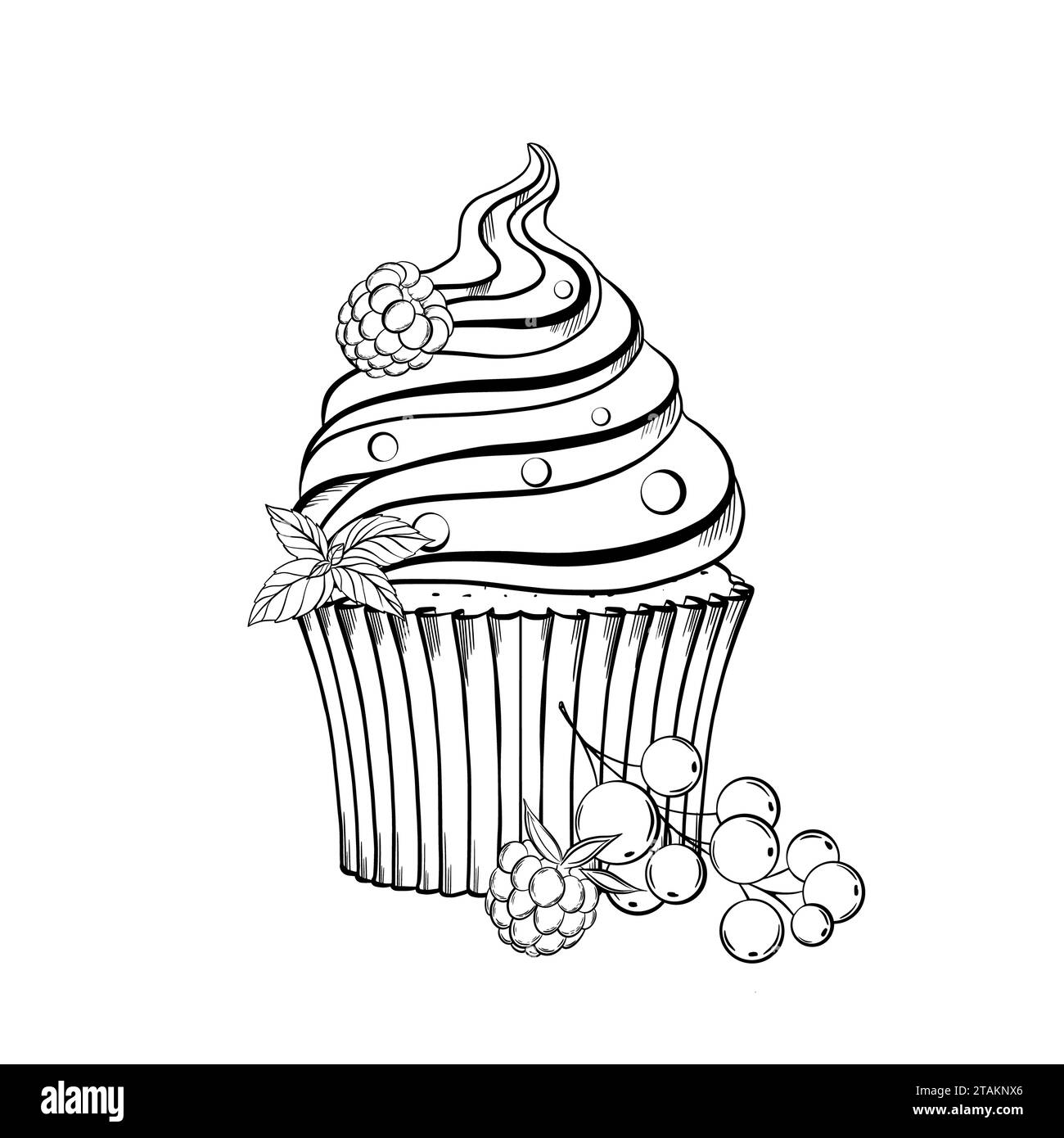Cupcake mit Beerencreme und Minzblättern. Vektorabbildung. Grapgischer STYLE. Handgezeichnet in einem einfachen minimalistischen Stil. Kann in der Küche verwendet werden Stock Vektor
