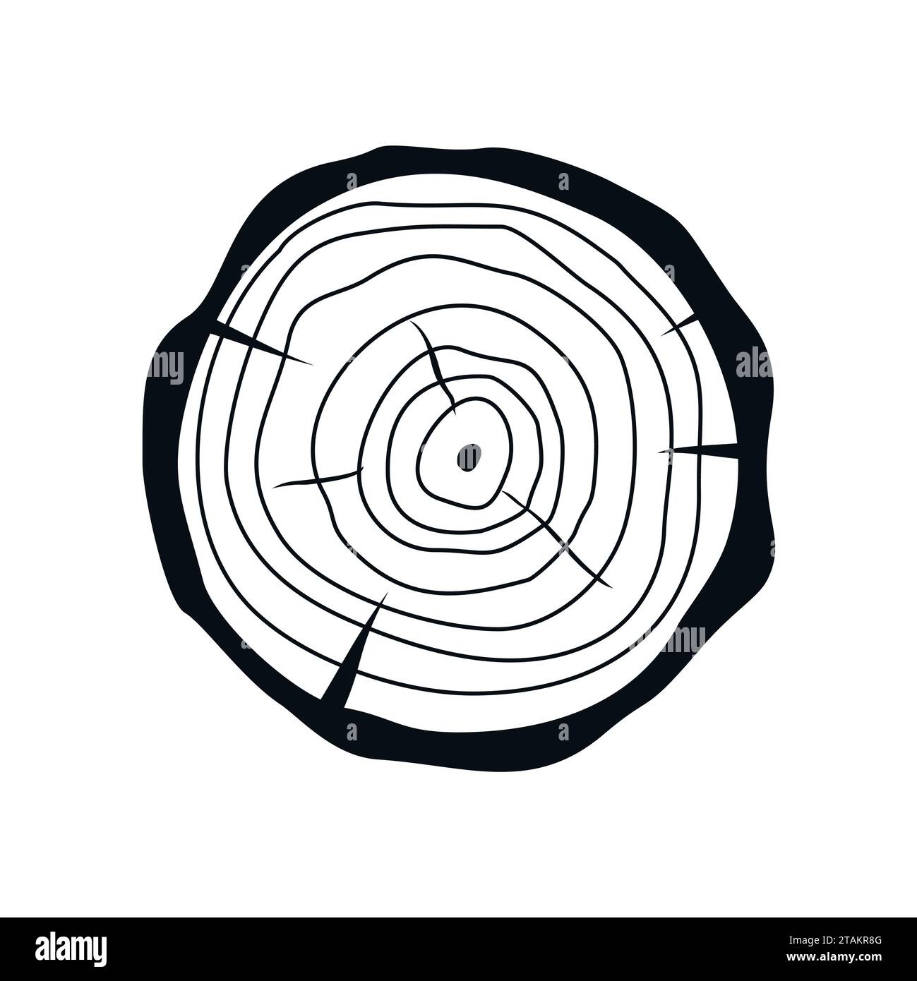 Querschnitt eines Baumstumpfes in flacher Form, isoliert auf weißem Hintergrund. Baumstammquerschnitt naturgeschliffener Holzscheibenkreis Holzring Stock Vektor