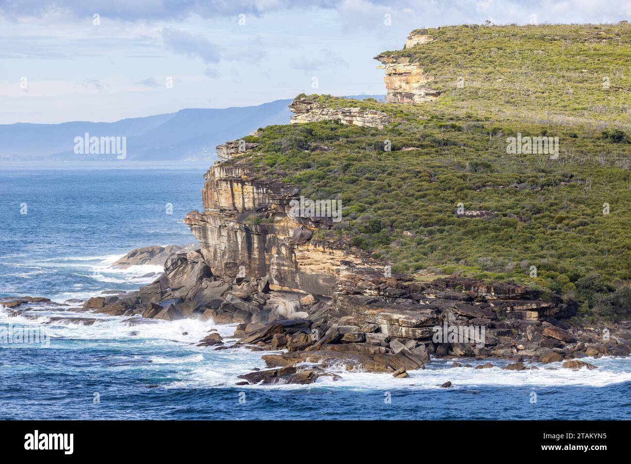 Küstenblick, Royal National Park Sydney Australien Stockfoto