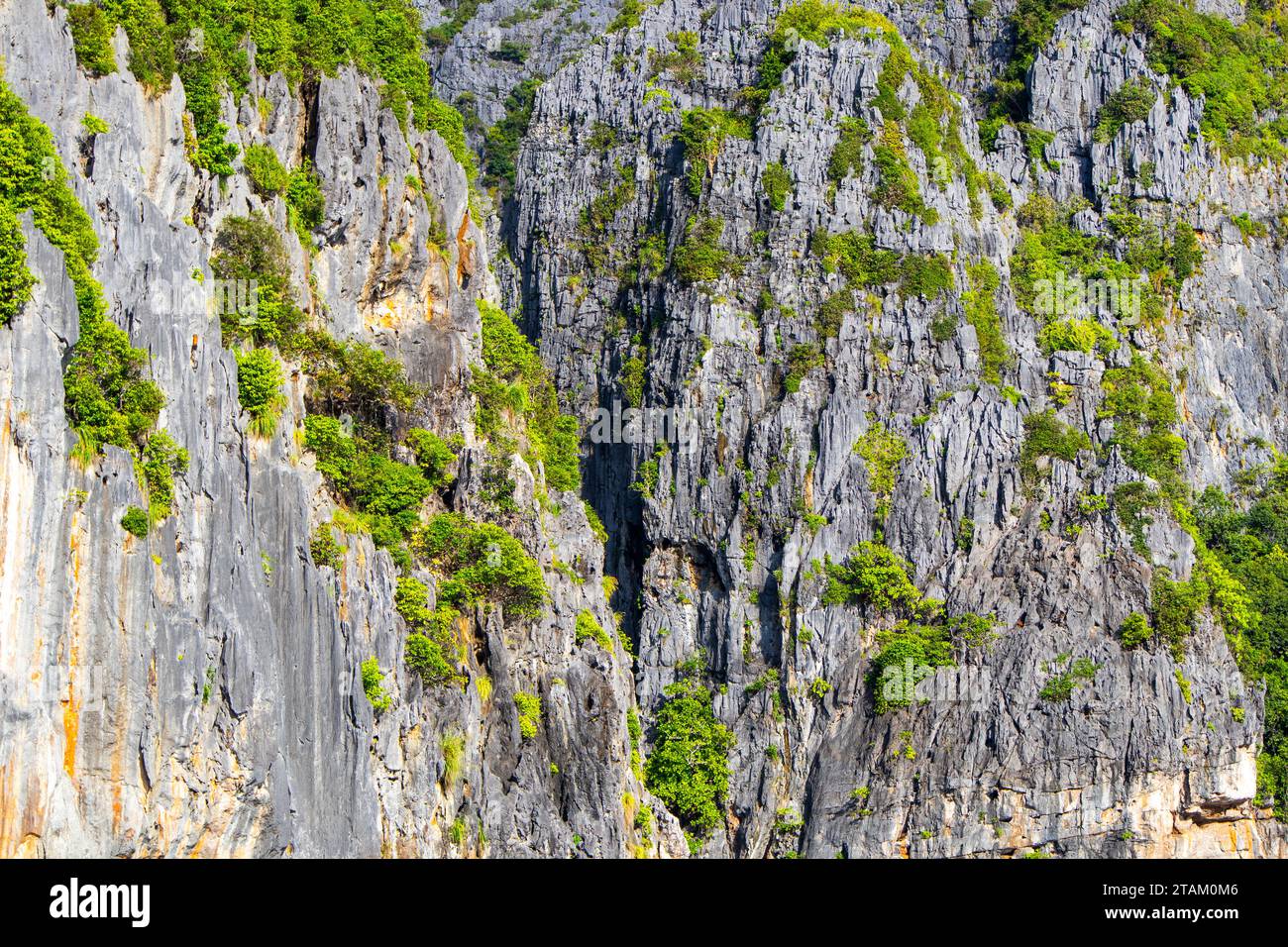 Ein detaillierter Blick auf die grünen Felsen in Maya Bay auf den Phi Phi Inseln - einer der berühmtesten Orte in Thailand Stockfoto