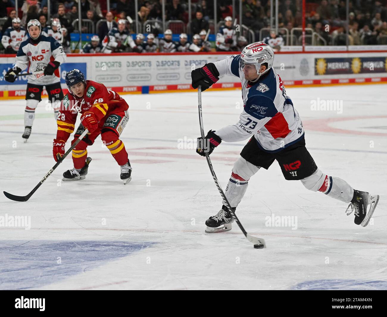 Roman Kechter (Nürnberg Ice Tigers, #73) versucht es mit einem Weitschuss. Alexander EHL (Duesseldorfer EG, Nr. 28) kann nicht eingreifen. Duesseldorfer EG vs. Nürnberg Ice Tigers, Eishockey, Penny DEL, 23. Spieltag, Saison 2023/2024, 01.12.2023 Foto: Eibner-Pressefoto/Thomas Haesler Stockfoto