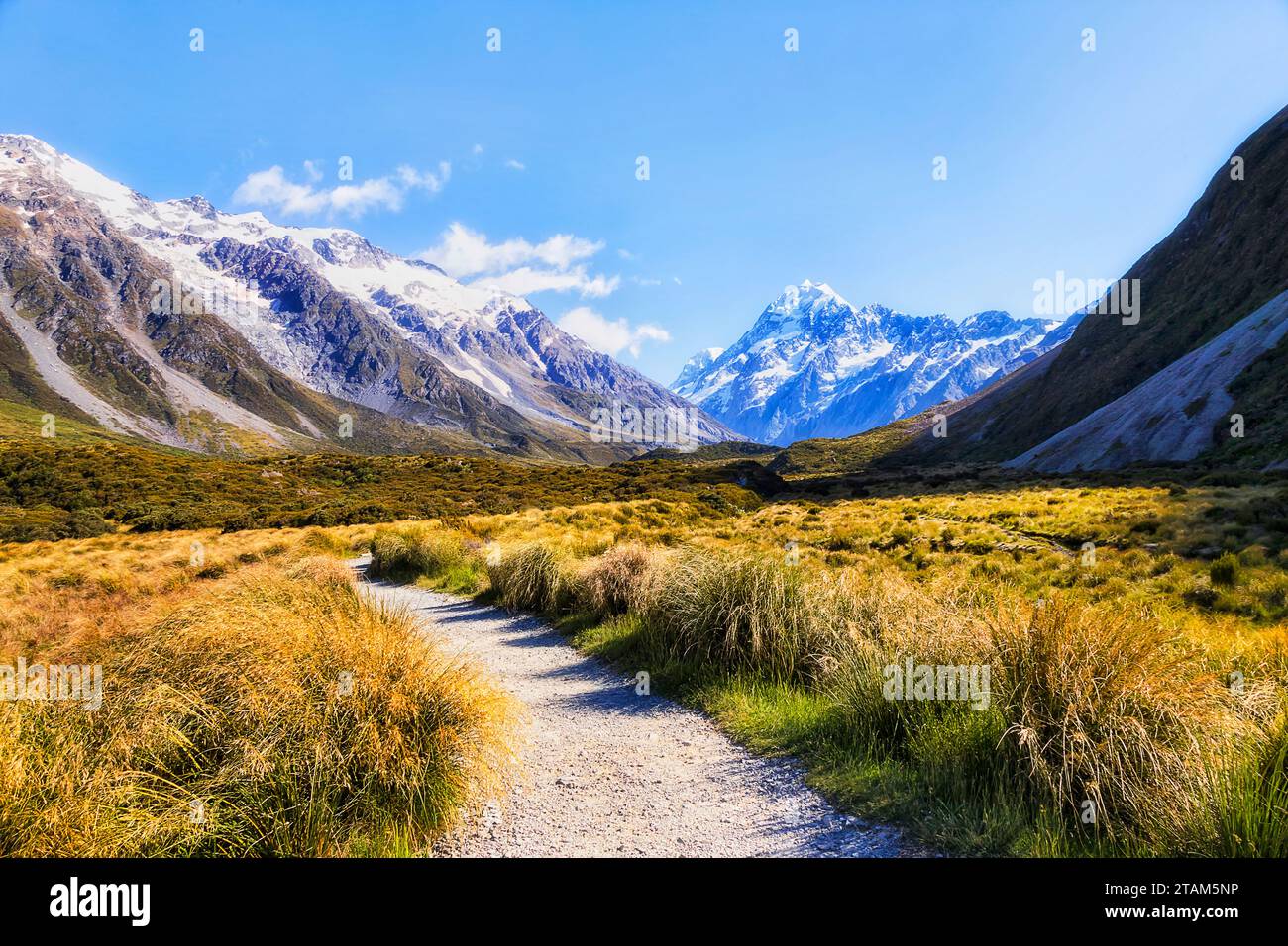 Malerischer Wanderweg im Hooker Valley in Neuseeland führt zum majestätischen Mt Cook - beliebtes Touristenziel. Stockfoto