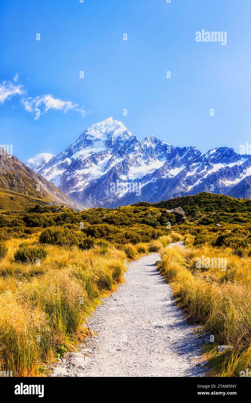 Schotterwanderweg im Hooker Valley zum Mt Cook auf der Südinsel Neuseelands. Stockfoto
