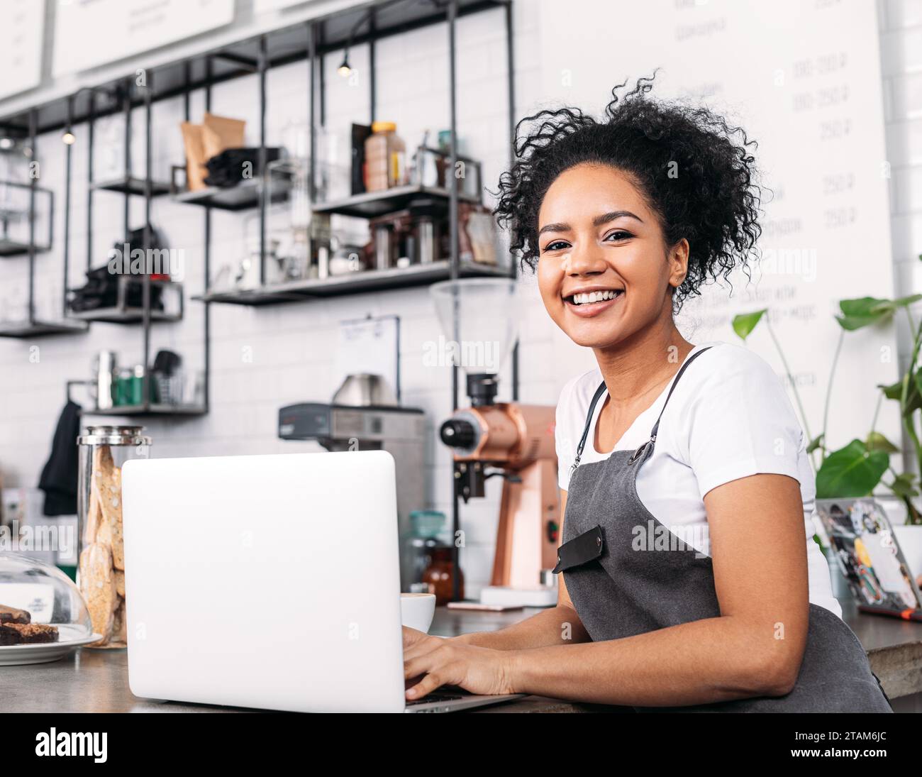 Lächelnder Coffee-Shop-Besitzer mit lockigem Haar, der in die Kamera blickt. Frau in einer Schürze mit einem Laptop an der Theke. Stockfoto