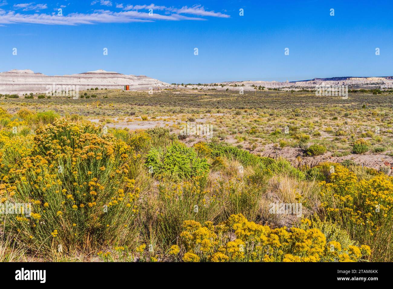 Hohe Wüstenlandschaft entlang Highway 550 im nordwestlichen New Mexiko. Stockfoto