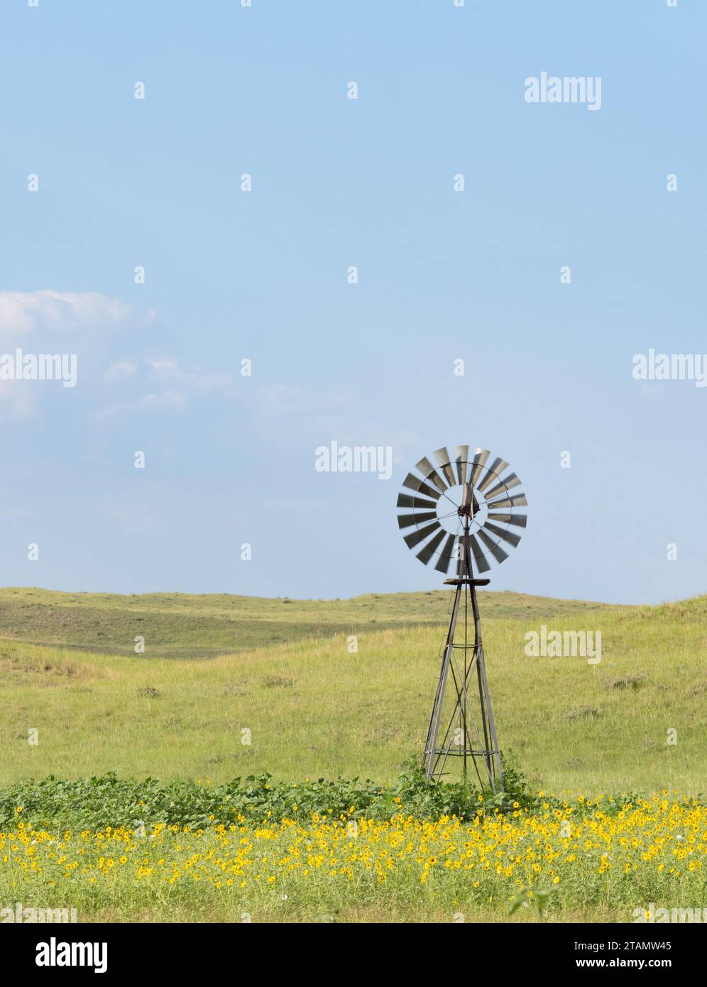 Windmühle aus Vintage-Metall inmitten einheimischer Sonnenblumen in einer Prärie in Nebraska mit sandhills in der Ferne. Stockfoto