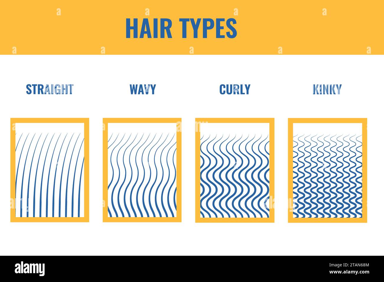 Menschliches Haar, konzeptuelle Illustration Stockfoto