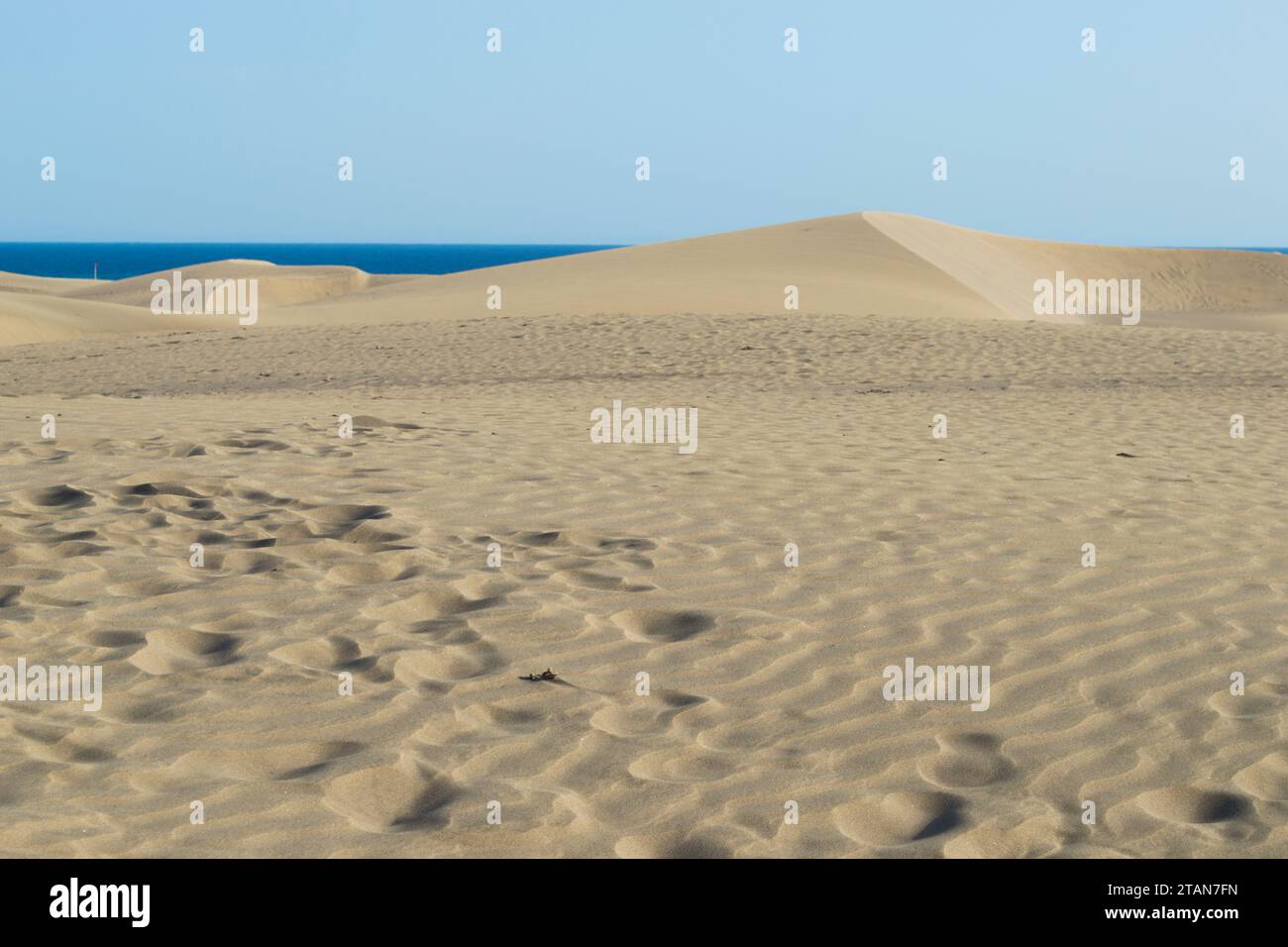 Dunas de Maspalomas en Gran Canaria Stockfoto