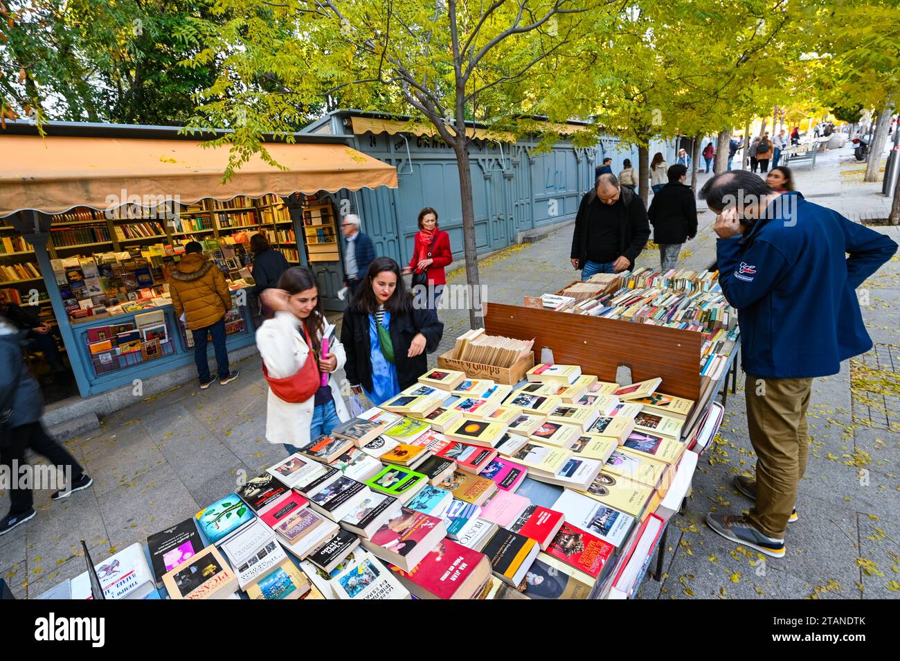 Madrid, Spanien, 18. November 2023, gebrauchte Bücher, gebrauchte Bücher zum Verkauf auf dem Flohmarkt Stockfoto