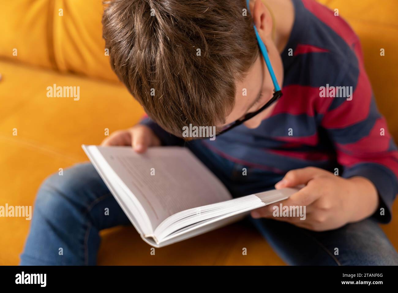 Ein junger Schuljunge in Brille sitzt auf der Couch, voll in das Lesen eines Buches vertieft. Er ist in die Geschichte vertieft, mit einem intensiven Blick auf konzentrisch Stockfoto