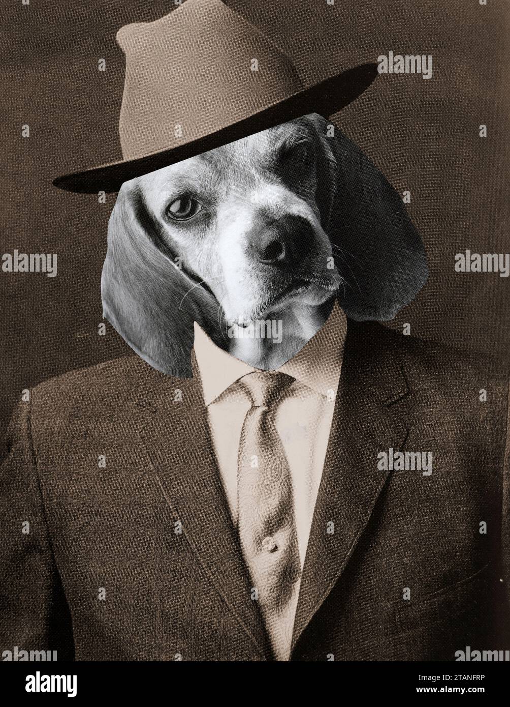 Porträt eines Hundes mit Anzug, Krawatte und Hut. Stockfoto