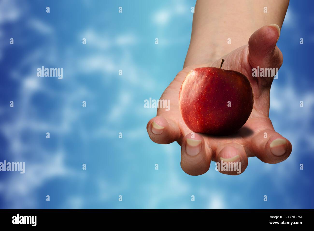 Frauenhand hält einen roten Apfel mit Kopierraum Stockfoto