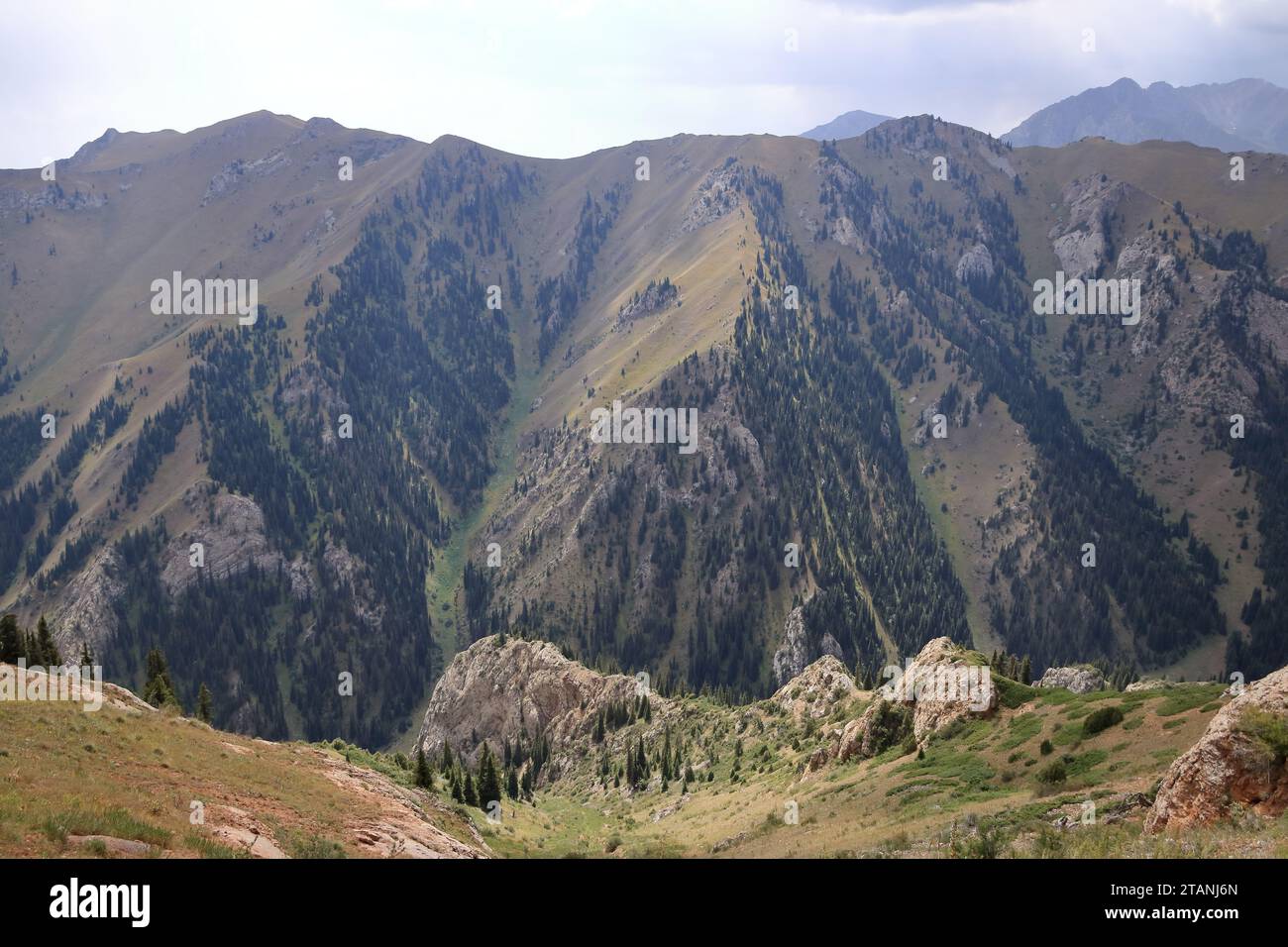 Der Moldo-Ashuu-Pass, Bezirk der Region Songkol im Westen Kirgisistans Stockfoto