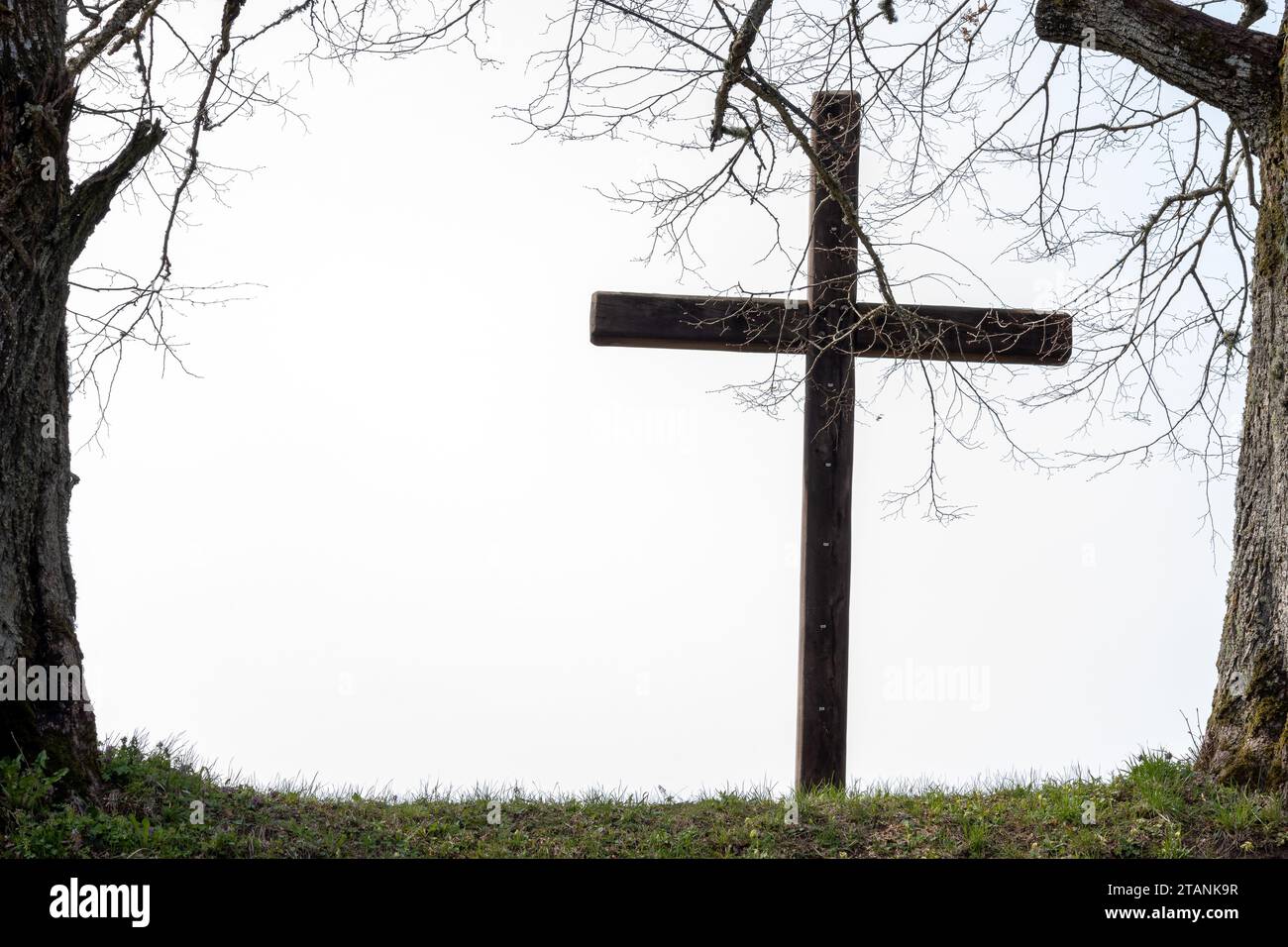 Ein hölzernes Kreuz auf einem Berg auf hellem Hintergrund zwischen Baumstämmen Stockfoto