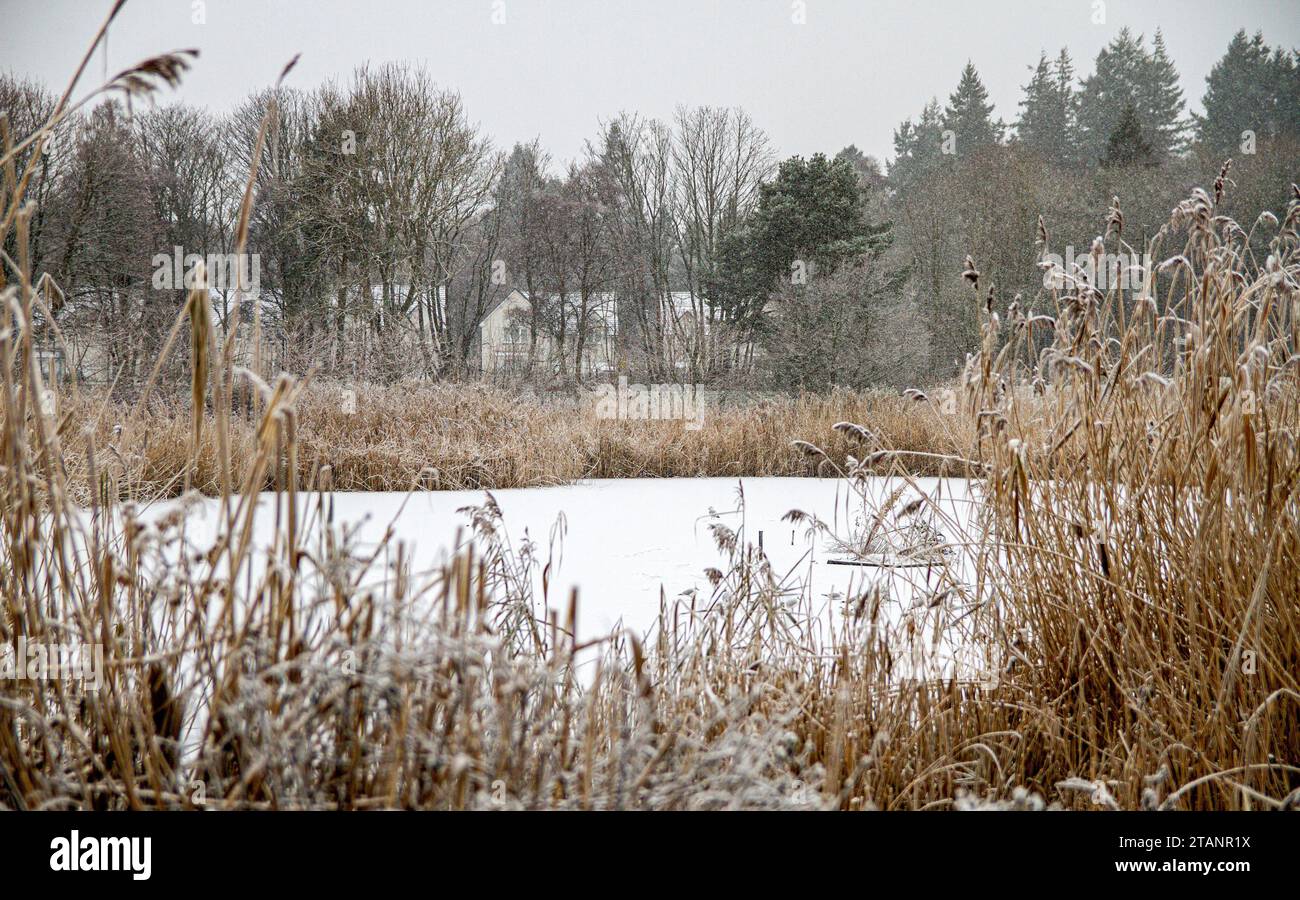 Dundee, Tayside, Schottland, Großbritannien. Dezember 2023. Wetter in Großbritannien: Ardler Village in Dundee, Schottland, erlebte durch einen Morgenfrost von -5°C. Quelle: Dundee Photographics/Alamy Live News Stockfoto