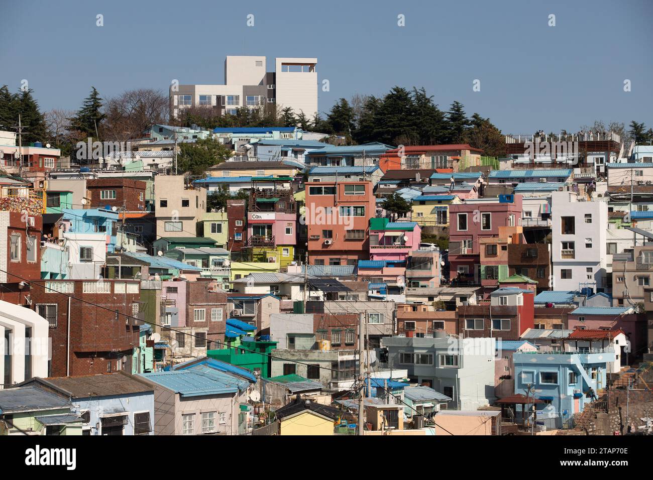 Blick auf das Gamcheon Kulturdorf Busan, Südkorea Stockfoto