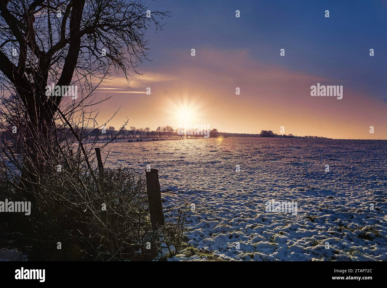 Auf des Höhen des Teutoburger Waldes Stockfoto