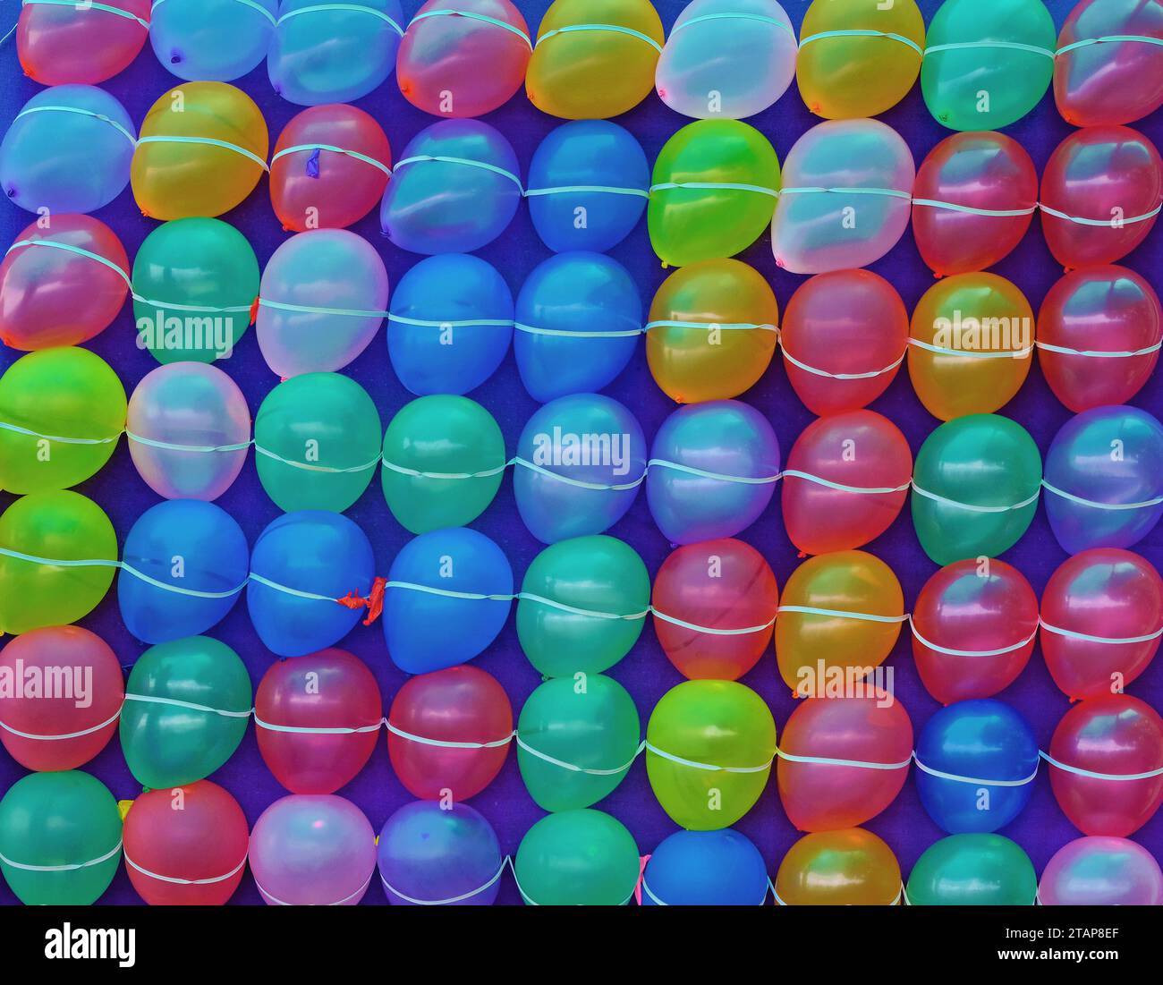Ein lebhaftes Gitter aus bunten, luftgefüllten Ballons auf einem violetten Brett für ein Übungsspiel auf einem Festplatz Stockfoto