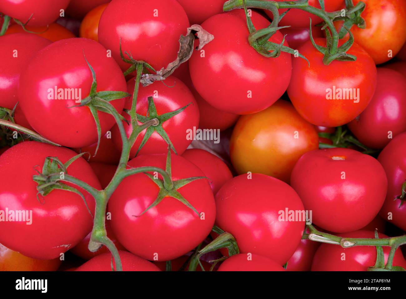 Fruits et Legumes sur un etalage de marché: Obst und Gemüse auf einem Markt Stockfoto