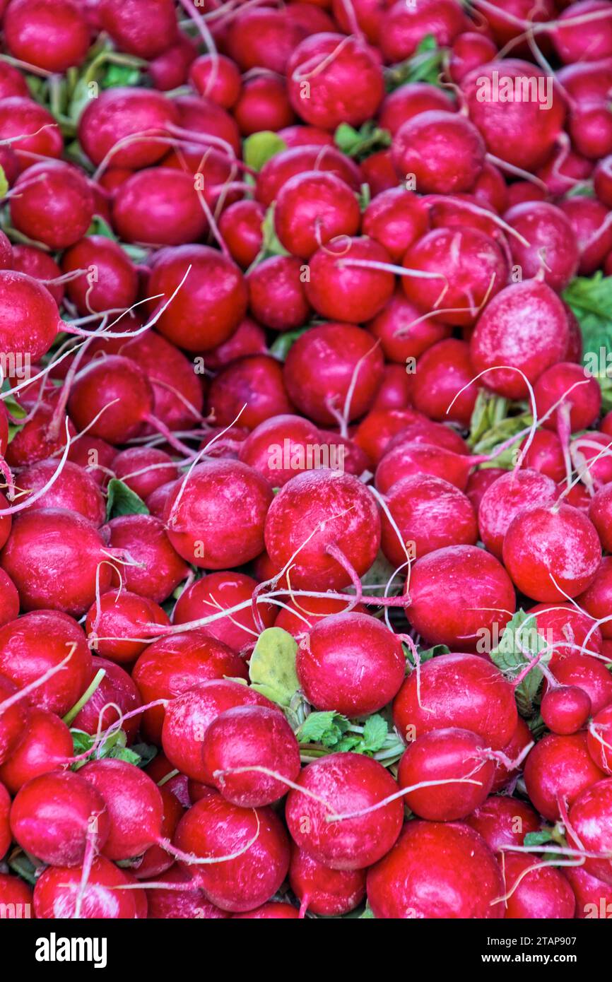 Fruits et Legumes sur un etalage de marché: Obst und Gemüse auf einem Markt Stockfoto