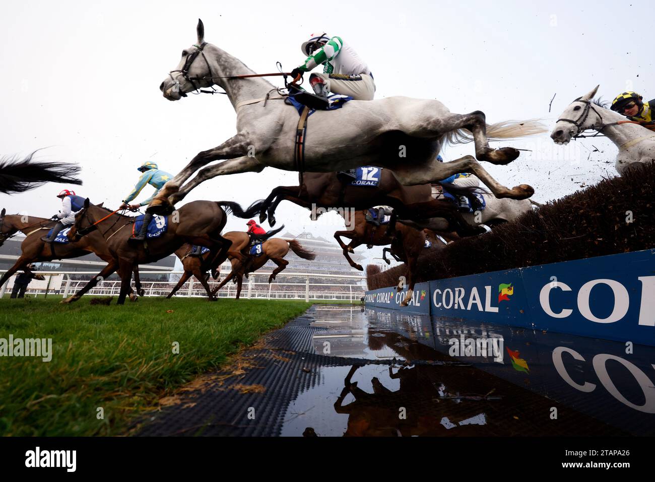 Läufer und Fahrer beim Coral Gold Cup Handicap Chase am Coral Gold Cup Day auf der Newbury Racecourse, Berkshire. Bilddatum: Samstag, 2. Dezember 2023. Stockfoto