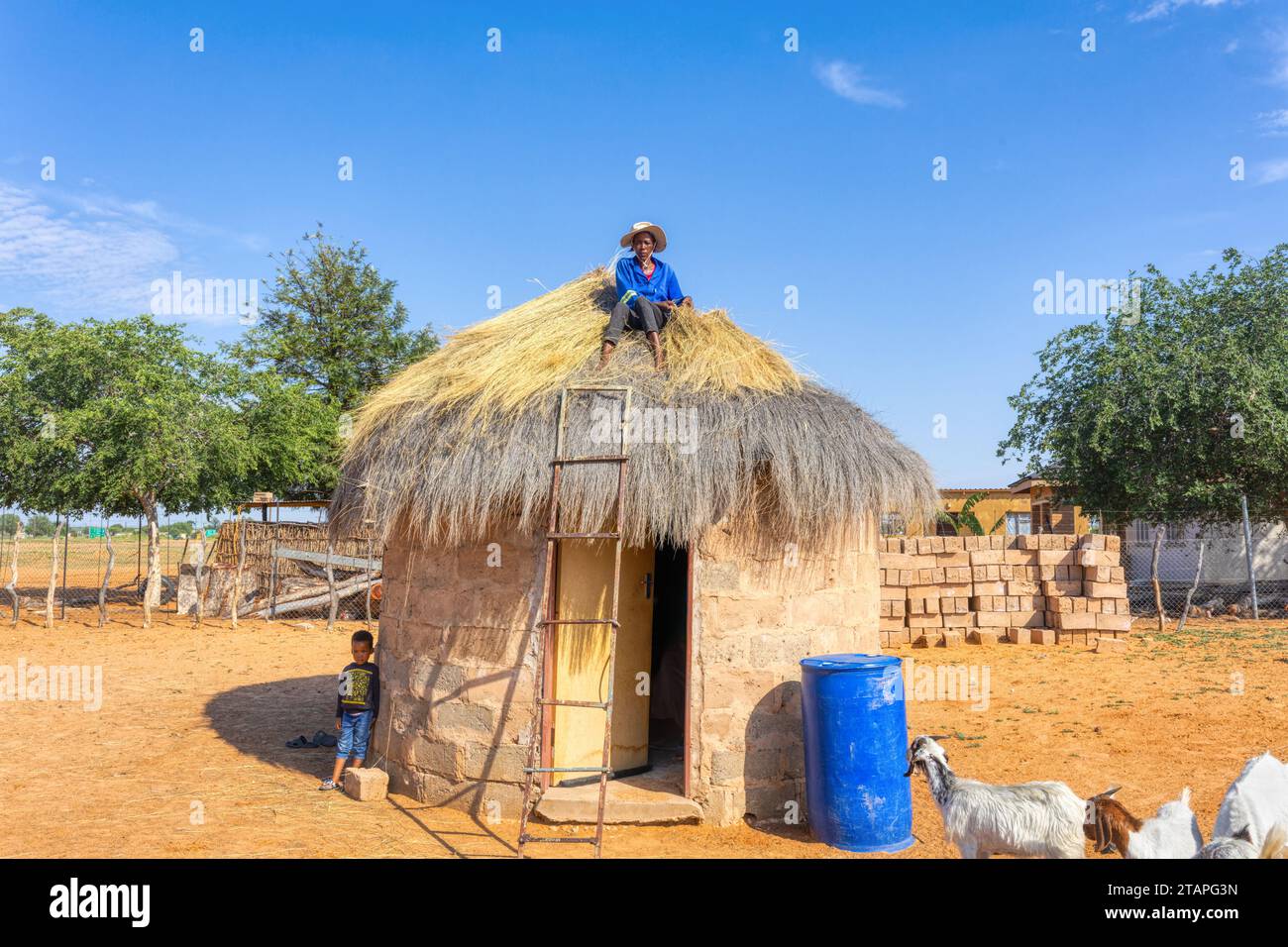 afrikanerin kletterte, um ein Strohdach auf einer Hütte zu reparieren, Kind und Vieh im Hof Stockfoto