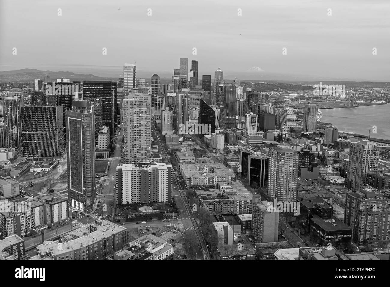 Seattle, Washington D.C. USA - 03. April 2021: skyline von seattle mit Wolkenkratzern am Abend Stockfoto