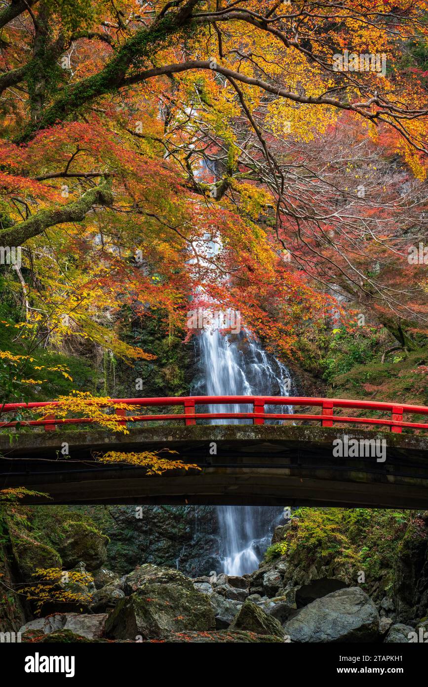 Minoo Wasserfall mit roter Brücke im Herbst, Minoo Park Osaka, Japan Stockfoto